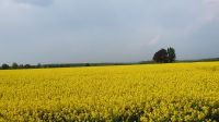 Fahrt nach Hause