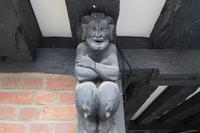 Faun