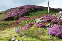 Ffestiniog Railway