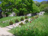 Garden in Arundel