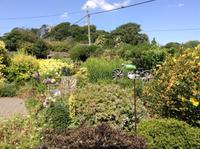 Garten in Godshill