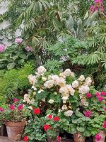 Gartenanlage am Schloss Balmoral