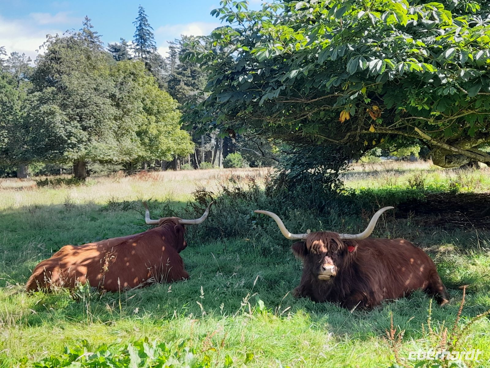 Glamis Castle