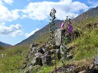 Glen Coe