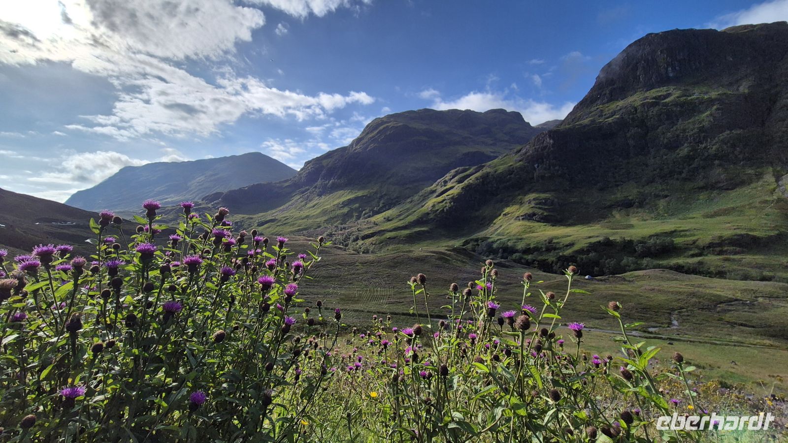 Glencoe