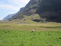 Glencoe