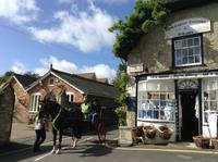 Godshill