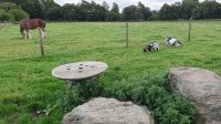 Grace s Farm in Aberdeenshire 20230803 110144