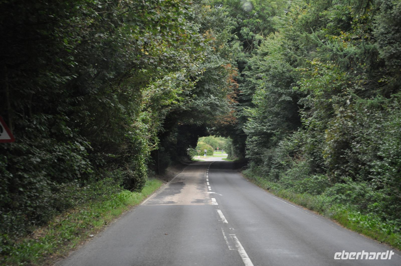 Green Tunnel