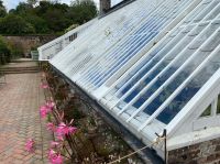 Greenhouse außen