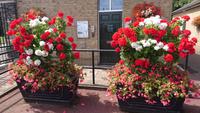 Greenwich-Park
