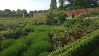 Hampton Court Palace 20180518_174254