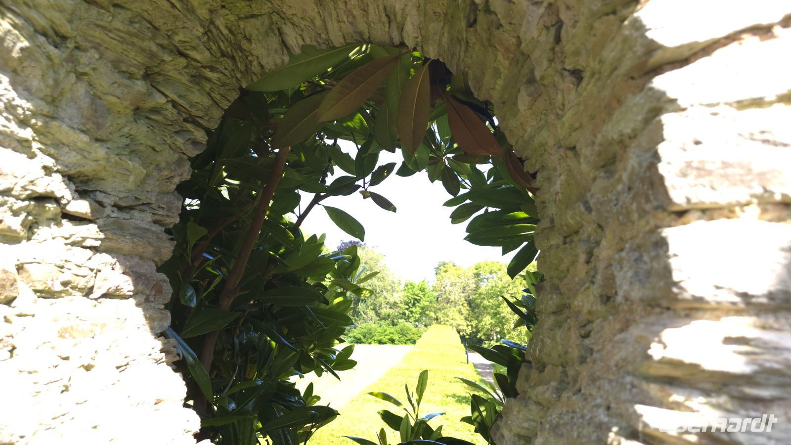 Hestercombe Garden 