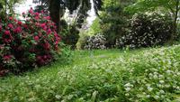 Hever Castle 20180510 172005