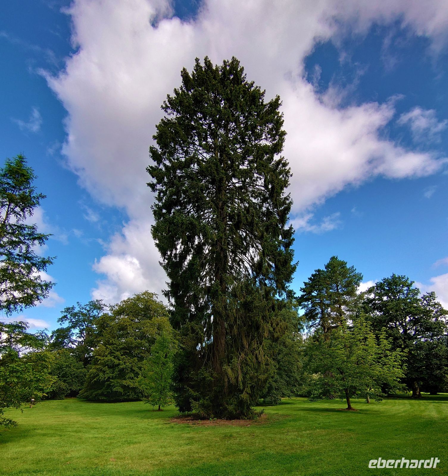 Im Arley Arboretum