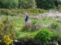 Im Dartmoor