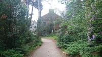 Im Garten im Glenveaugh Nationalpark
