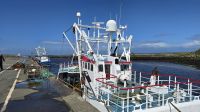 Im Hafen von Girvan