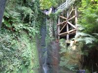 Im Shanklin Chine