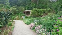 Im Walled Garden im Glenveaugh Nationalpark