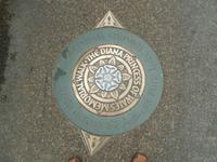 In Memoriam - Diana