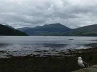 Inveraray