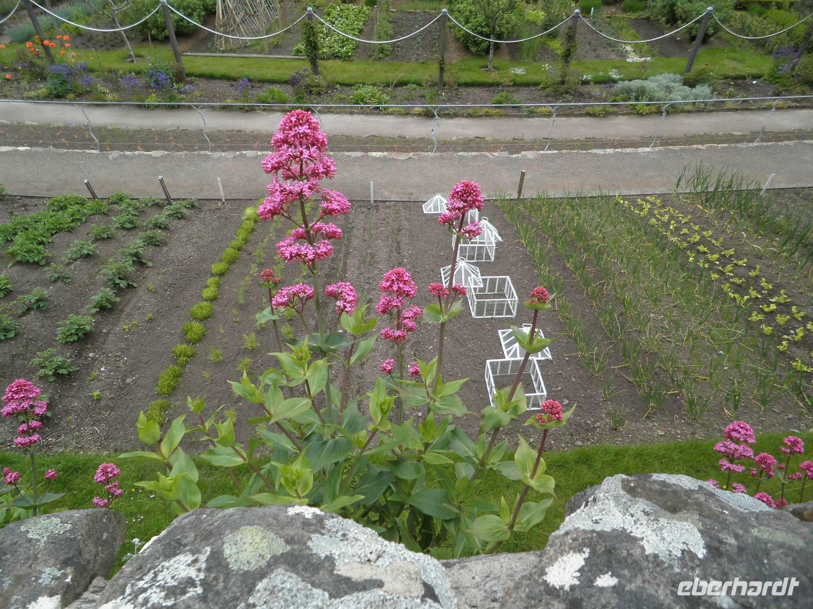 Inverewe Garden