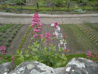 Inverewe Garden