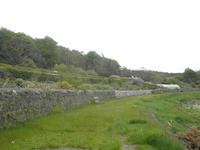 Inverewe Garden