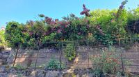 Isle of Wight, Godshill