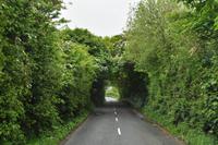 Isle of Wight
