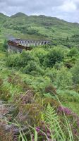 Jacobite Steam Train 