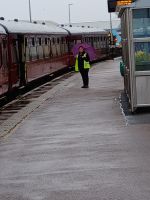 Jacobite Train