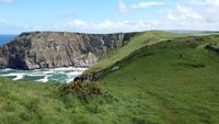 Küste bei Tintagel Castle 