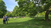 Kensington Garden am Sonntag 
