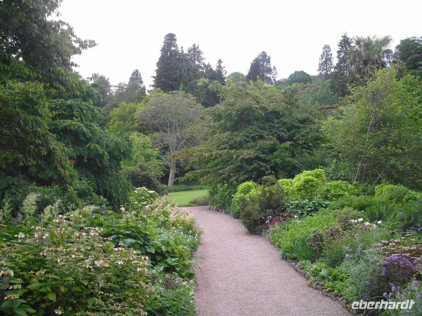 Killerton Garden