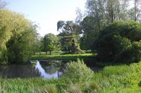 Killerton Garden