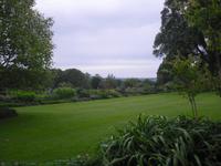 Killerton Garden
