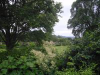 Killerton Garden