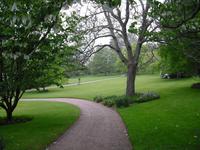 Killerton Garden