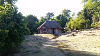 Killerton House - Bear's hut
