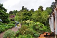 Killerton House