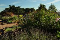 Killerton House