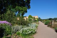 Killerton House