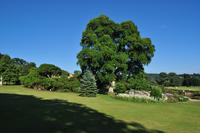 Killerton House