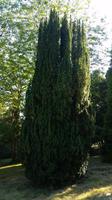 Killerton House