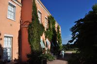 Killerton House