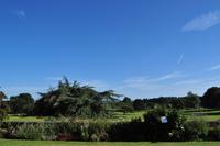 Killerton House