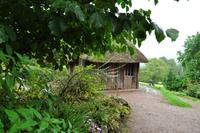 Killerton House
