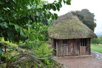 Killerton House